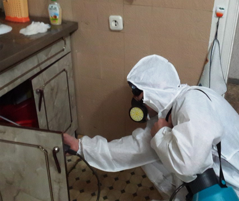 Уничтожить тараканов с гарантией в Челябинске